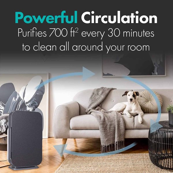 Alen BreatheSmart Flex 4-Speed Ionic Gray True HEPA Air Purifier ENERGY STAR (Covers: 700-sq ft) - Image 3