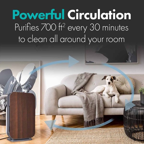 Alen BreatheSmart Flex 4-Speed Ionic Brown True HEPA Air Purifier ENERGY STAR (Covers: 700-sq ft) - Image 10