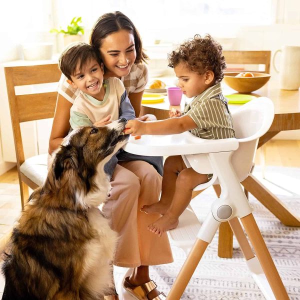 Munchkin Float Foldable Baby and Toddler High Chair - Image 3