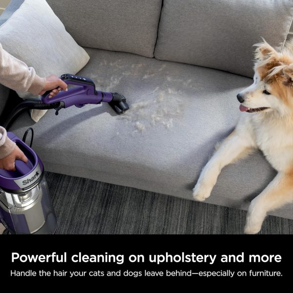 PowerDetect Upright Vacuum with DuoClean Detect Technology, Self-Cleaning Brushroll, and XL Dustcup   Eggplant - Image 2