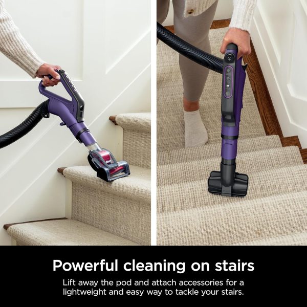PowerDetect Upright Vacuum with DuoClean Detect Technology, Self-Cleaning Brushroll, and XL Dustcup   Eggplant - Image 3