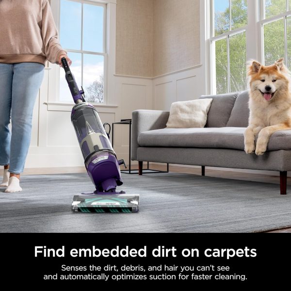 PowerDetect Upright Vacuum with DuoClean Detect Technology, Self-Cleaning Brushroll, and XL Dustcup   Eggplant - Image 4