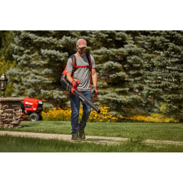 CMXGAAMR51BP BP510 51-cc 2-cycle 220-MPH 600-CFM Gas Backpack Leaf Blower - Image 12