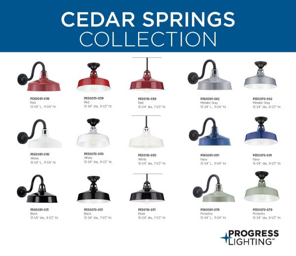 Progress Lighting P550070-031 Cedar Springs 13.25-in W Black Outdoor Flush Mount Light - Image 15
