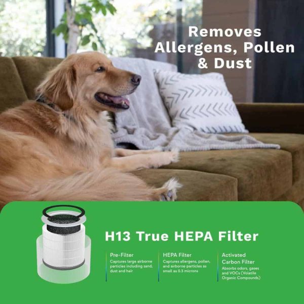 DH Lifelabs 591020320 Sciaire Plus HEPA 426 sq. ft. HEPA-True Tower Air Purifier in Grey with PlasmaShield Technology WiFi-Enabled - Image 5